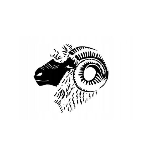 Πολυλειτουργική κουκούλα Merino μαύρο S/M