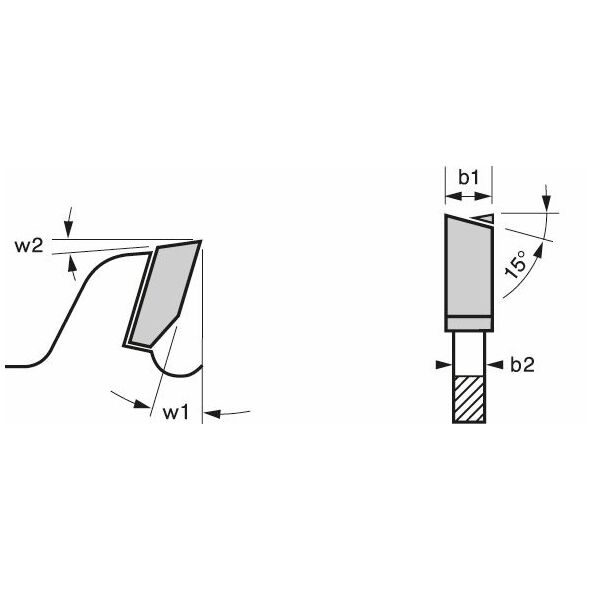 Bosch Tarcza pilarska Expert for Wood 160 x 20mm 24z (2608644016)