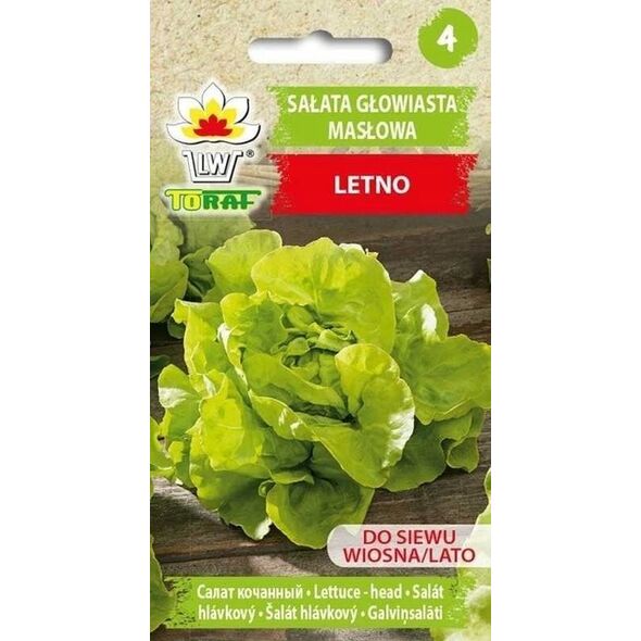 TORAF SAŁATA MASŁOWA LENTO LACTUCA SATIVA L. [1 G]