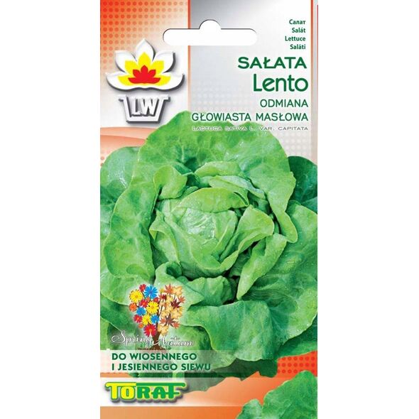 TORAF SAŁATA MASŁOWA LENTO LACTUCA SATIVA L. [1 G]