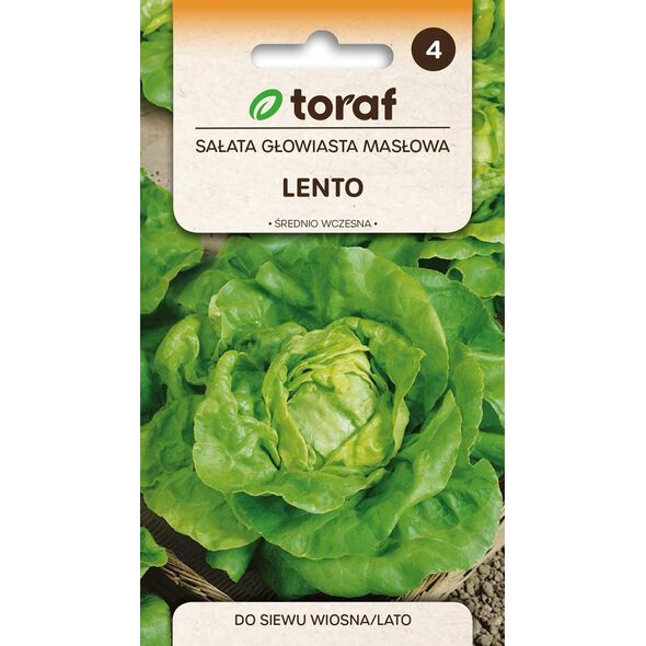 TORAF SAŁATA MASŁOWA LENTO LACTUCA SATIVA L. [1 G]