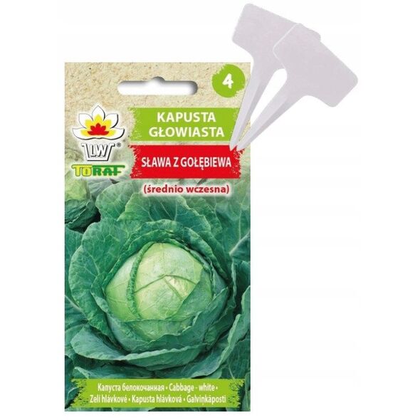 TORAF ΛΑΧΑΝΟ ΛΕΥΚΟ ΣΛΑΒΑ Ζ ΓΚΟΟΥΕΜΠΙΕΒΑ BRASSICA OLERACEA L. [2 G]