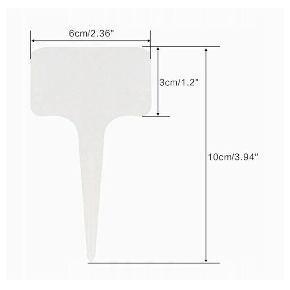 TORAF ΛΑΧΑΝΟ ΛΕΥΚΟ ΣΛΑΒΑ Ζ ΓΚΟΟΥΕΜΠΙΕΒΑ BRASSICA OLERACEA L. [2 G]