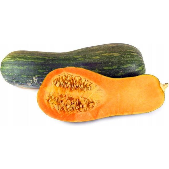 ΚΟΛΟΚΥΘΑΚΙ LUNGA DI NAPOLI CUCURBITA MOSCHATA [4 G] TORAF