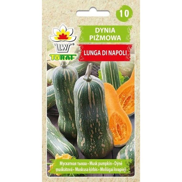 ΚΟΛΟΚΥΘΑΚΙ LUNGA DI NAPOLI CUCURBITA MOSCHATA [4 G] TORAF