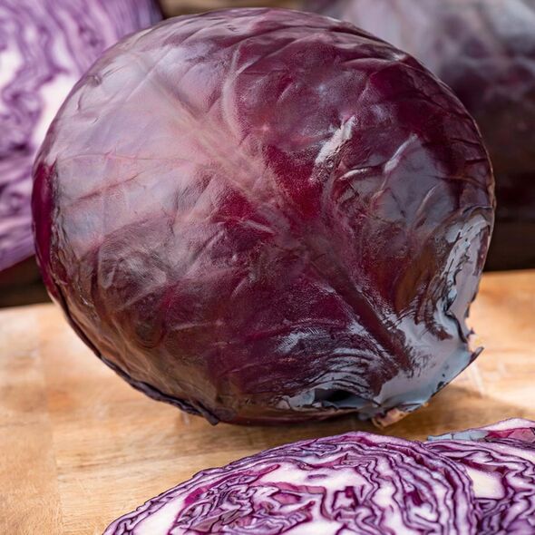 TORAF ΚΟΚΚΙΝΟ ΛΑΧΑΝΟ ΜΑΡΣ BRASSICA OLERACEA L. [1 G]