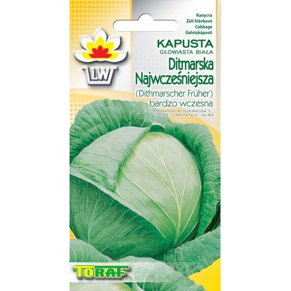 TORAF ΚΟΚΚΙΝΟ ΛΑΧΑΝΟ ΜΑΡΣ BRASSICA OLERACEA L. [1 G]