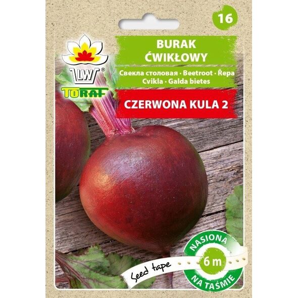 TORAF ΚΟΚΚΙΝΟ ΠΑΝΤΖΑΡΙ ΚΟΚΚΙΝΗ ΣΦΑΙΡΑ 2 BETA VULGARIS L. [T. 6 M]
