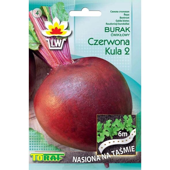 TORAF ΚΟΚΚΙΝΟ ΠΑΝΤΖΑΡΙ ΚΟΚΚΙΝΗ ΣΦΑΙΡΑ 2 BETA VULGARIS L. [T. 6 M]