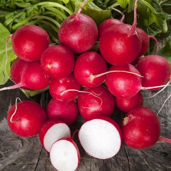 ΡΑΠΑΝΑΚΙ CHERRY BELLE RAPHANUS SATIVUS [10 G]