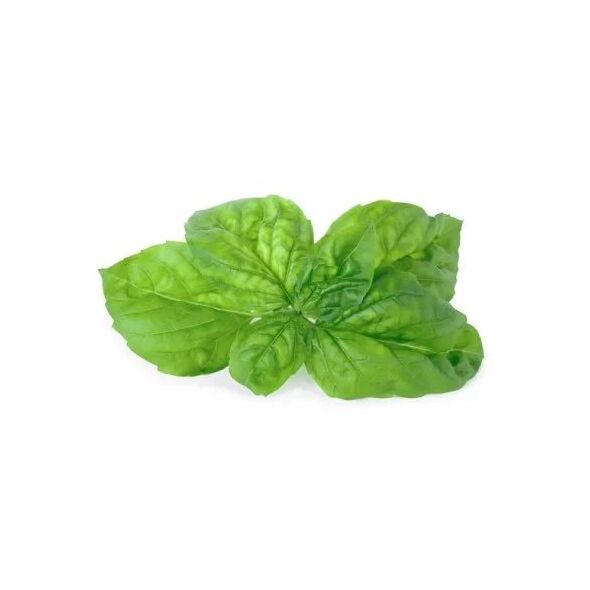 Véritable Lingot Μαμούθ Βασιλικός