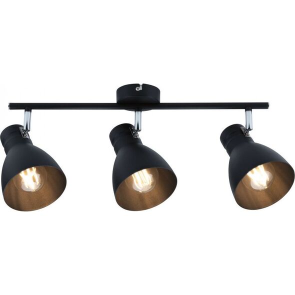Lampa sufitowa Paulmann Reflektor DAVY max. 3x20W E27 230V czarny metal