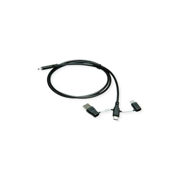 Καλώδιο ROLINE USB 2.0, C-C, με μπλοκαρίσματα διαδρομών δεδομένων A+C, 1 m