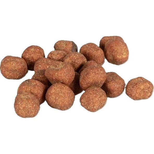 Duvo+ Crunchy Przysmak Dla Kota Łosoś 50g