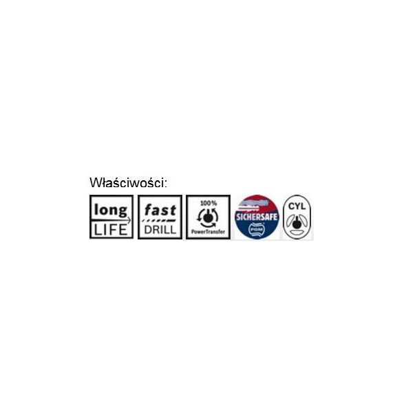 Wiertło Bosch walcowe 5mm  (2608588141)