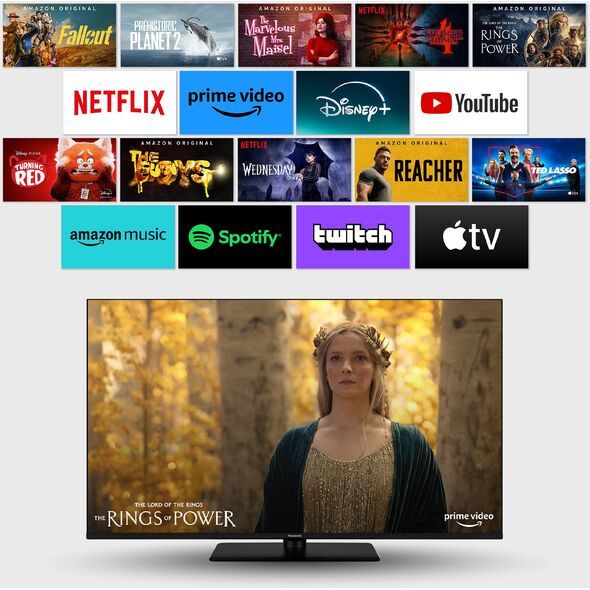 Panasonic TV-50W80AEZ schwarz