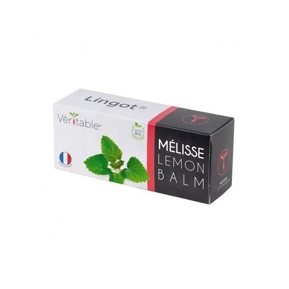 Véritable Lingot Meduňka lékařská - BIO