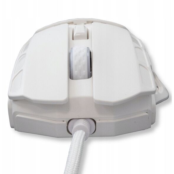 White Shark GM-5016 Ector white