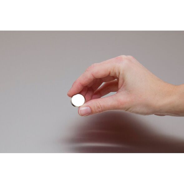 MAUL Neodym-Kraftmagnet,  22 mm , 8 kg, 2 St. hellsilber