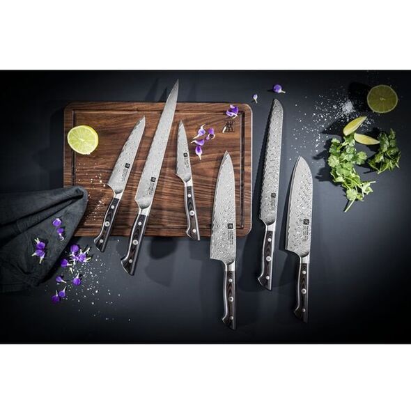 Zwilling TANREI Fleischmesser 23 cm