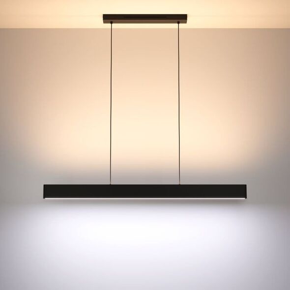 Ceiling LED lamp EGLO Andreas, 2x19W, RGB, 4320lm, black, 117 x 7 x 110 cm