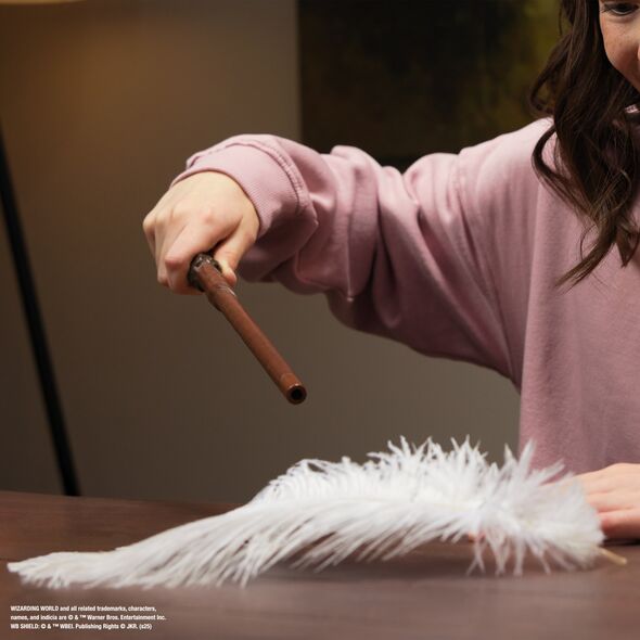 Harry Potter Spectacular Spell Wand