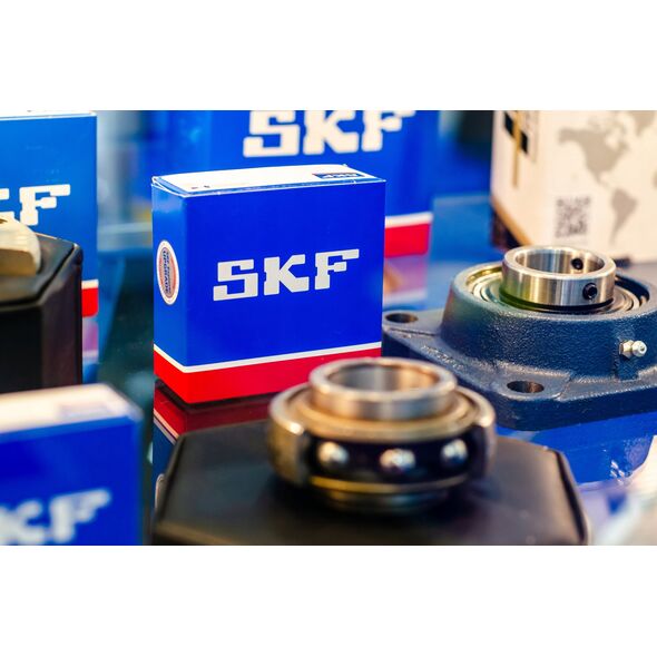 Leje SKF 6006 2Z