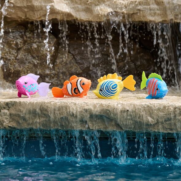 SWIMWAYS Rainbow Reef Clownfish, 6072502