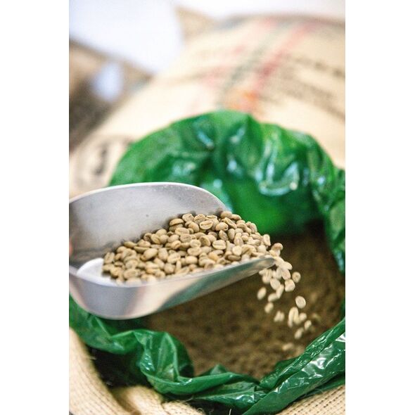 COFFEE PLANT - Intense Espresso 250g