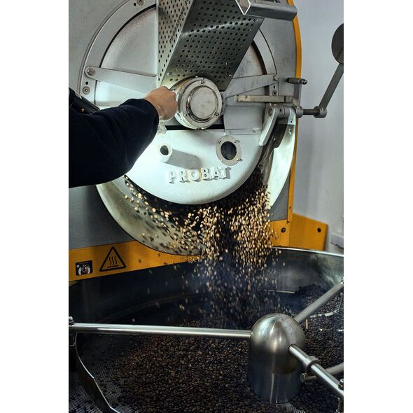 COFFEE PLANT - Intense Espresso 250g