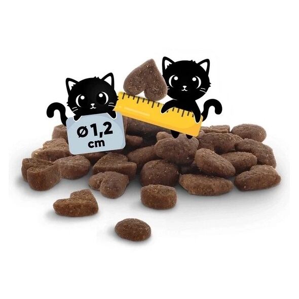 Lucky Lou Food Code Μόνο Πέστροφα 340g