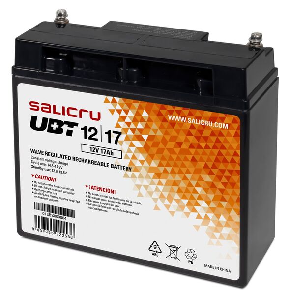 Zasilacz awaryjny UPS Interaktywny Salicru 013BS000004 12 V