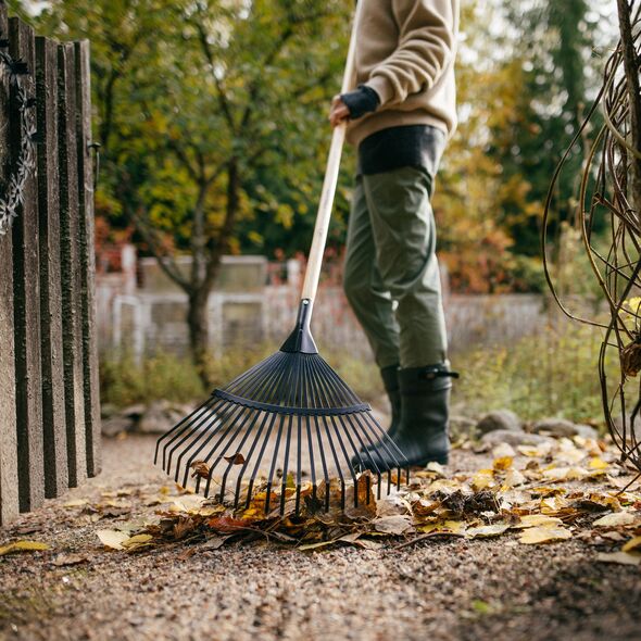 Fan rake FISKARS SOLID WOOD, 182 cm