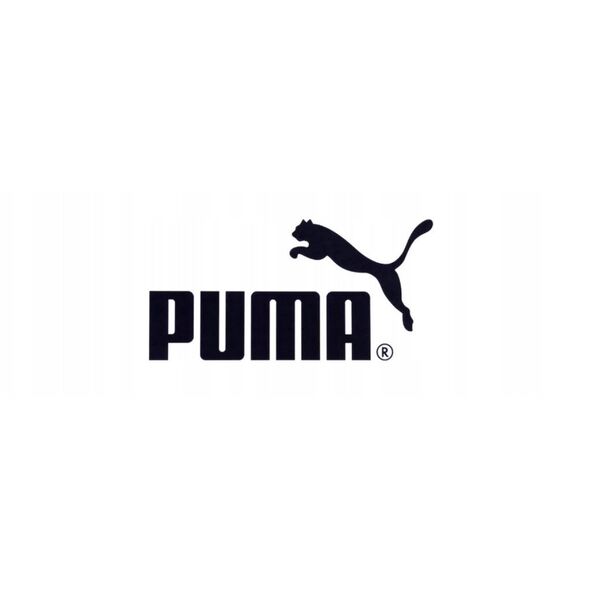 Παπούτσια Puma Future 8 Match Low FG/AG 108372-03