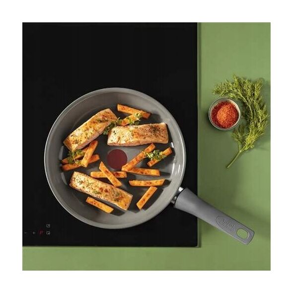 Tefal Ανανέωση 24 cm τηγάνι - Panna cepsanai