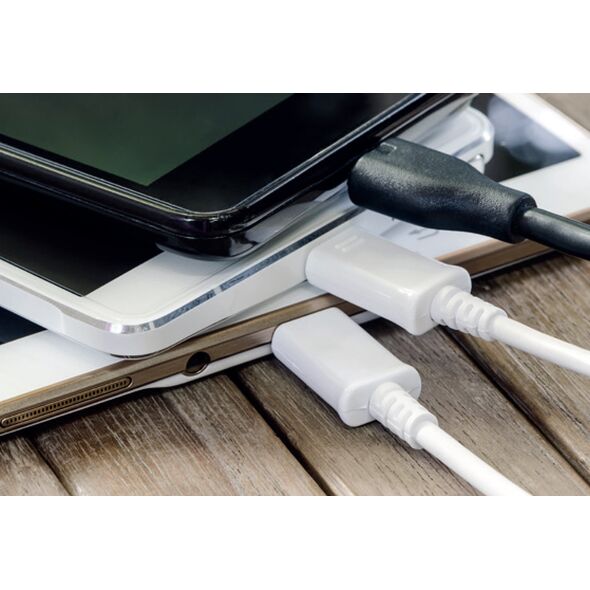 Φορτιστής Γραφείου USB EnerGenie Μαύρο/Λευκό Μίγμα 8716309108645