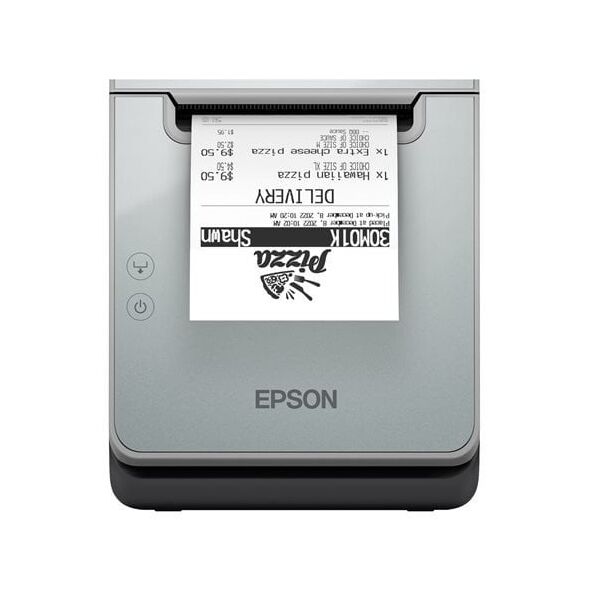 EPSON TM-L100 (103A0): USB