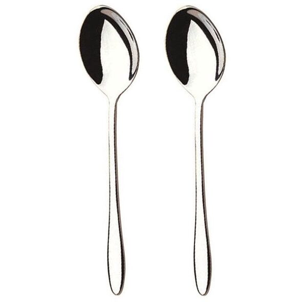 339397 ELAINE -2PCS TABLE SPOON