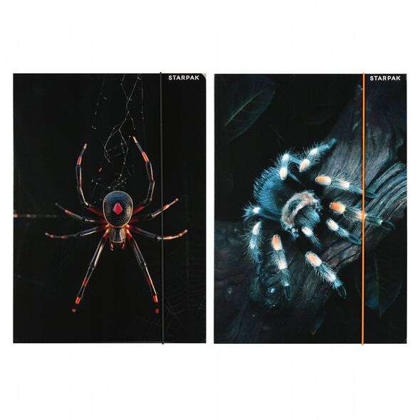 ΦΑΚΕΛΟΣ ΜΕ ΛΑΣΤΙΧΟ Α4 SPIDER STK FOL10/100