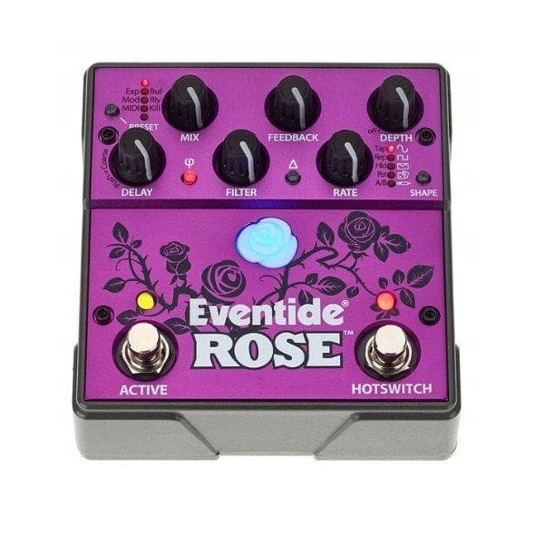 Eventide Rose