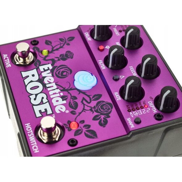 Eventide Rose
