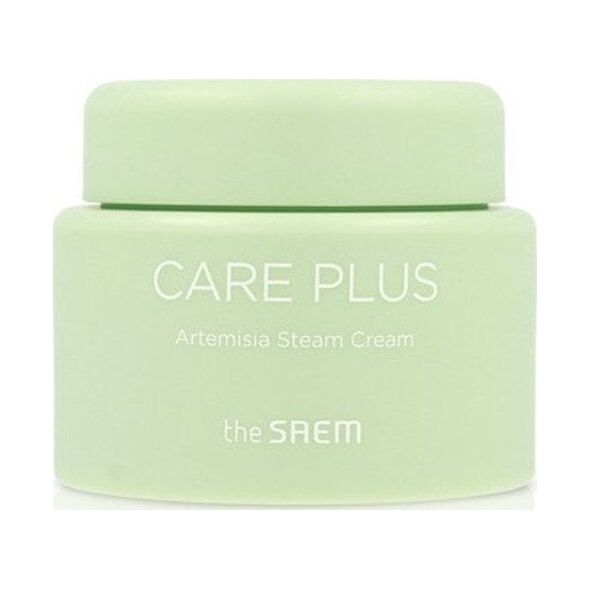 theSaem Care Plus Artemisia Steam Krem do twarzy 100ml