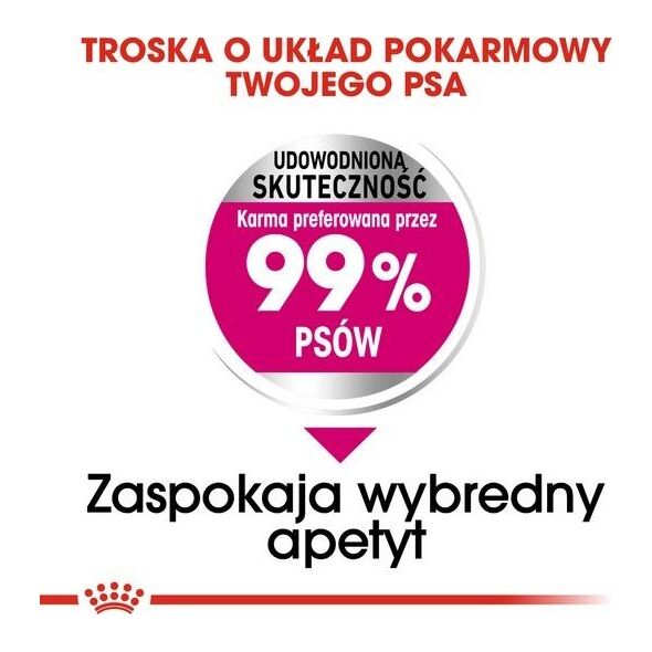 Royal Canin Royal Canin Mini Exigent karma sucha dla psów dorosłych, ras małych, wybrednych 1kg