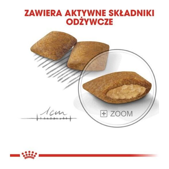 Royal Canin Royal Canin Mini Exigent karma sucha dla psów dorosłych, ras małych, wybrednych 1kg