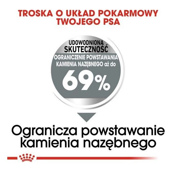 Royal Canin Royal Canin Mini Dental Care karma sucha dla psów dorosłych ras małych do 10 kg higiena zębów 3kg