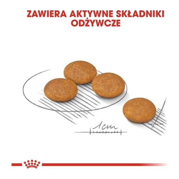 Royal Canin Royal Canin Mini Dermacomfort karma sucha dla psów dorosłych, ras małych o wrażliwej skórze skłonnej do podrażnień 1kg