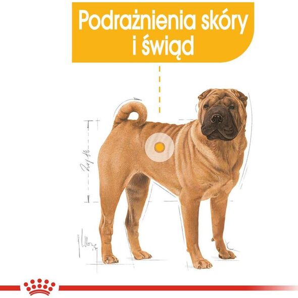 Royal Canin Royal Canin CCN Dermacomfort Medium dla psa 12kg