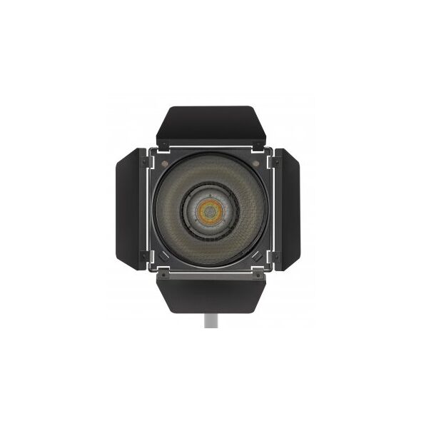 Πτερύγια Newell BD-200