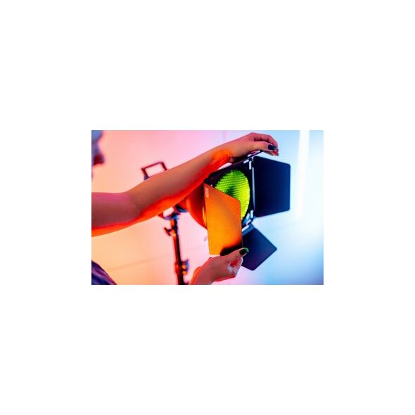 Πτερύγια Newell BD-200