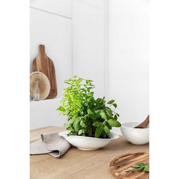 Villeroy & Boch Vapiano trio bowl set, 6 pieces, white